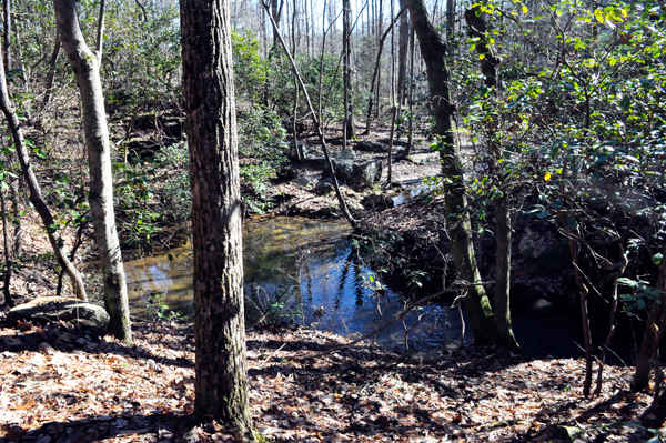 stream at Crowders Mountain